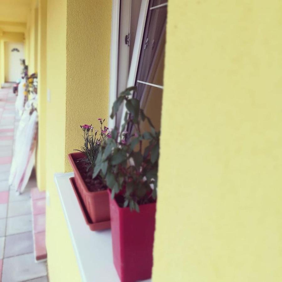 Zlatno 66 Bed & Breakfast Zlate Moravce Exterior photo